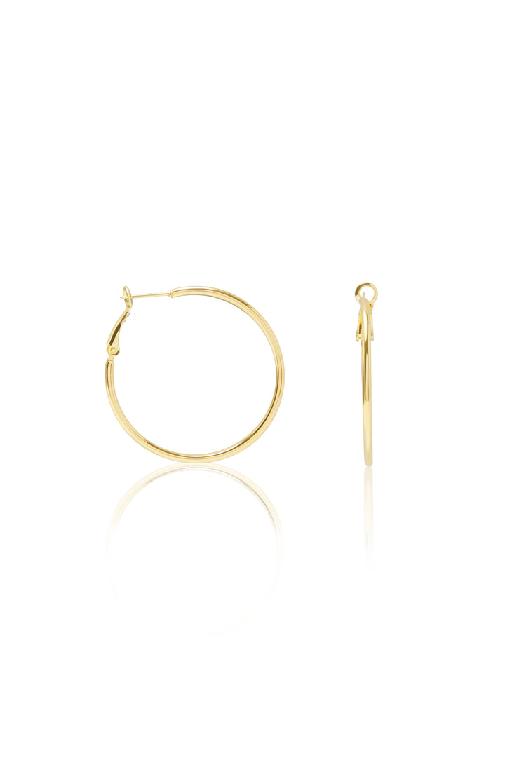 Haisley Earrings Gold Earrings