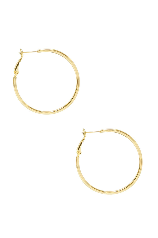 Haisley Earrings Gold Earrings